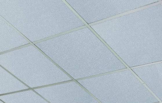 Ceiling Panels - View 2