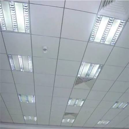 Ceiling Panels - View 3