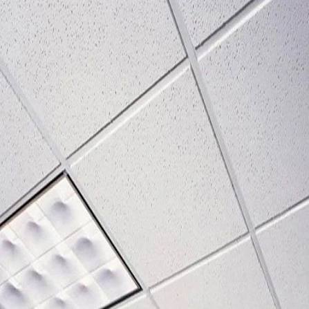 Ceiling Panels - View 4